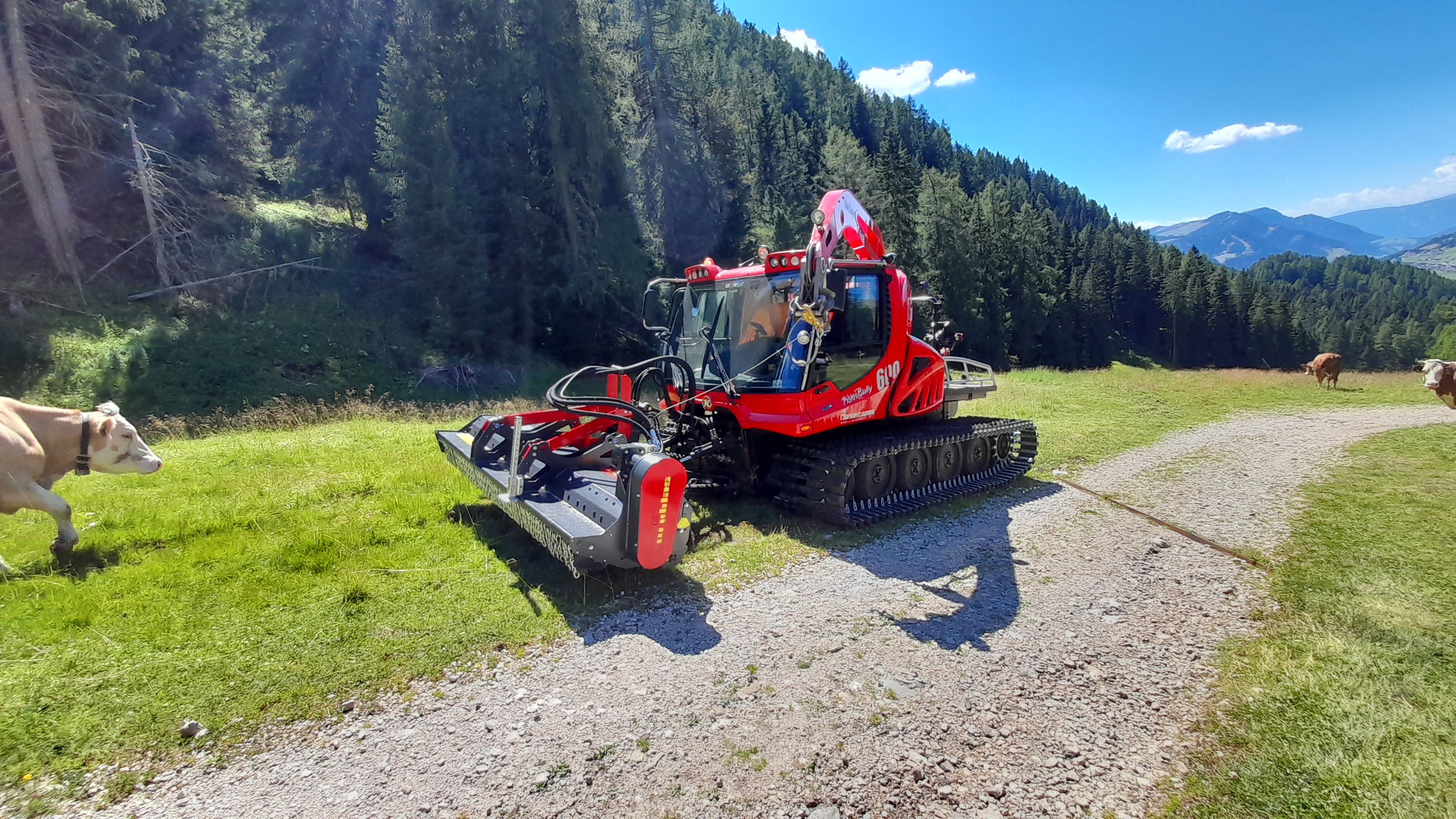 Pistenraupe im Sommereinsatz auf einem Wirtschaftsweg neben einer Weide